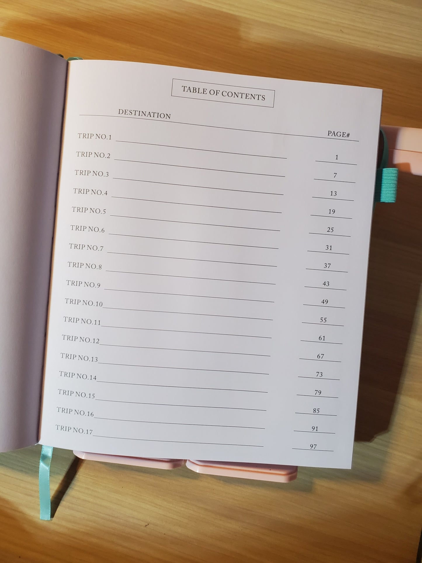 Travel Journal with Pen